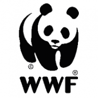 WWF